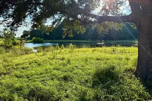 Tbd Lakeland Ranch Lot 277, Hillister, TX 77624 - Photo 1