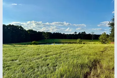 Tbd Lakeland Ranch Lot 277, Hillister, TX 77624 - Photo 6