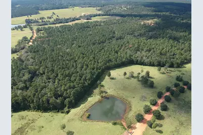 Tbd Lakeland Ranch Lot 277, Hillister, TX 77624 - Photo 12