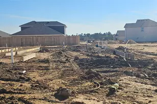 136 Rising Cedar Ln, Hockley, TX 77447 - Photo 2