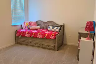 3223 Field Thistle, New Braunfels, TX 78130 - Photo 22