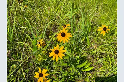 3 Highway 87, Milam, TX 75959 - Photo 8