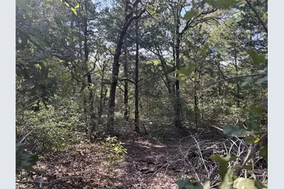 667 Paint Creek South Road, Paige, TX 78659 - Photo 4