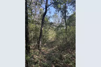667 Paint Creek South Road, Paige, TX 78659 - Photo 14