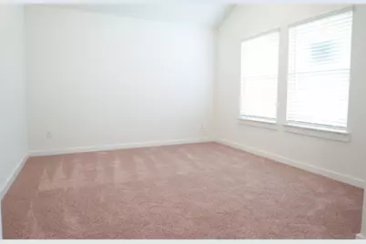 3518 Windmill Palm Drive, Manvel, TX 77578 - Photo 12