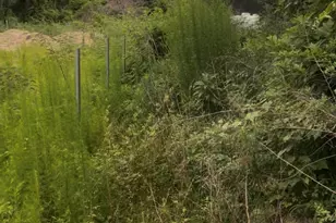 0-0 Hardy Rd, Houston, TX 77073 - Photo 1