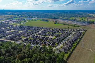 22530 Forbes Field Trail, Spring, TX 77389 - Photo 46