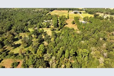 Tbd 7.5 Ac Sharp Road, Montgomery, TX 77356 - Photo 8