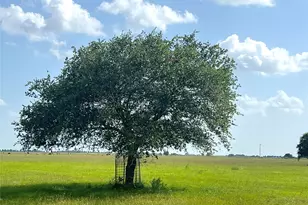 00 County Road 307, El Campo, TX 77437 - Photo 4