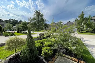 308 Tangle Birch Ct, Montgomery, TX 77316 - Photo 26