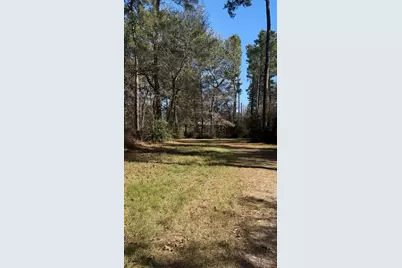 15901 Butera Road, Magnolia, TX 77355 - Photo 4