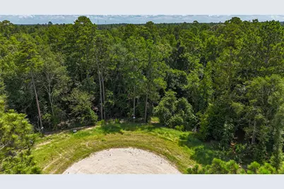 110 Romantic Dreams Ct, New Waverly, TX 77358 - Photo 6