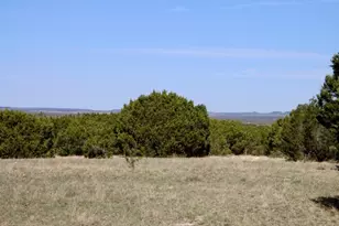 Tbd Lampasas Burnet Rd, Lampasas, TX 76550 - Photo 10