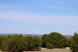 Tbd Lampasas Burnet Rd, Lampasas, TX 76550 - Photo 30