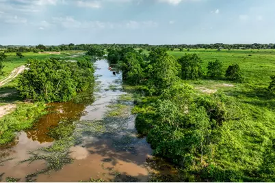 0000 Schmidt Road, Waller, TX 77484 - Photo 8