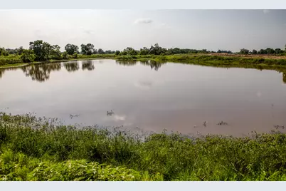 0000 Schmidt Road, Waller, TX 77484 - Photo 6