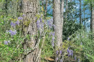 19506 State Hwy 7 E, Kennard, TX 75847 - Photo 26