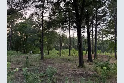 120 Pioneer Trail, Livingston, TX 77351 - Photo 1