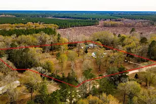 389 Vanderbilt, Livingston, TX 77351 - Photo 16