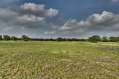 47.8 Acres Fm 141, Giddings, TX 78942 - Photo 6