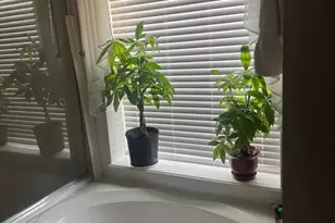 11126 Riverbank Ridge Ln, Houston, TX 77089 - Photo 8