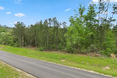 11800 Grand North Road, Willis, TX 77378 - Photo 12