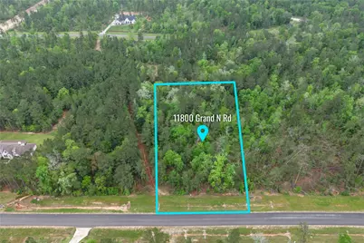 11800 Grand North Road, Willis, TX 77378 - Photo 4