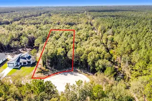 1381 Road 6604, Dayton, TX 77535 - Photo 1