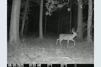 516 County Road 4800, Warren, TX 77664 - Photo 48