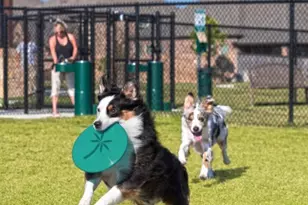 31311 Crescent Hill Dr, Fulshear, TX 77441 - Photo 28