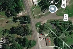 15920 N State Hwy 94, Apple Springs, TX 75926 - Photo 4
