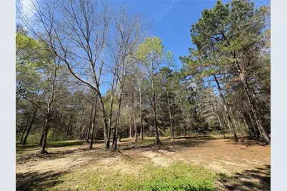 1300 Cherry Creek Drive, Shepherd, TX 77371 - Photo 12