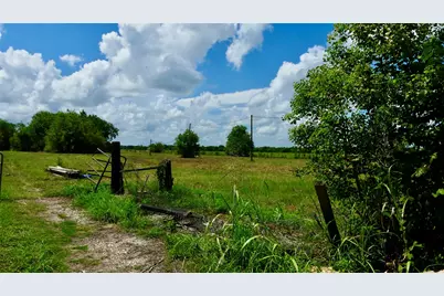 7806 McKeever Road, Pearland, TX 77584 - Photo 4