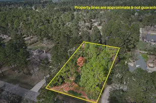 22314 Meadowsweet Dr, Magnolia, TX 77355 - Photo 1