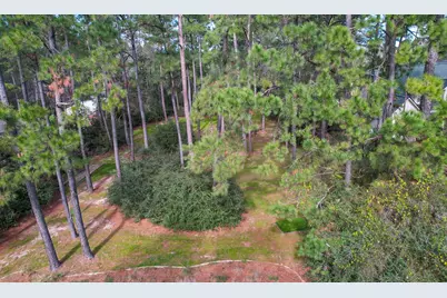 22314 Meadowsweet Drive, Magnolia, TX 77355 - Photo 2