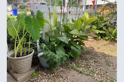 124 Wren, Livingston, TX 77351 - Photo 20