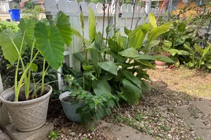 124 Wren, Livingston, TX 77351 - Photo 20