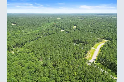 Lot 77 Wagon Pass Drive Drive, Huntsville, TX 77340 - Photo 10