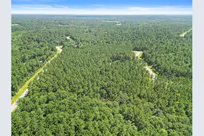 Lot 77 Wagon Pass Drive Drive, Huntsville, TX 77340 - Photo 6