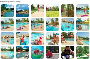 31418 Orchard Hill Ln, Spring, TX 77386 - Photo 40