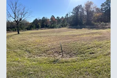 Tbd Grassy Lane, Coldspring, TX 77331 - Photo 6