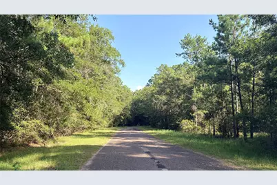 Lot 11 Hackberry Drive, Village Mills, TX 77663 - Photo 2