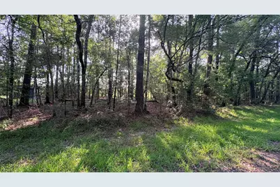 Lot 11 Hackberry Drive, Village Mills, TX 77663 - Photo 4