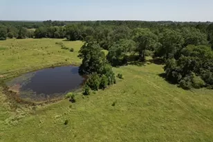 882 Jones Rd, New Waverly, TX 77358 - Photo 1