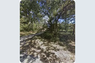 201 Chinquapin Road, Trinity, TX 75862 - Photo 6