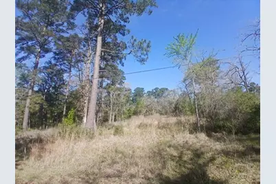 201 Chinquapin Road, Trinity, TX 75862 - Photo 8