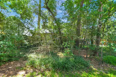 123 W Trillium Court, The Woodlands, TX 77381 - Photo 44