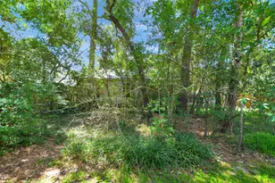 123 W Trillium Ct, The Woodlands, TX 77381 - Photo 44