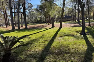 3314 Lake Island Dr, Montgomery, TX 77356 - Photo 18