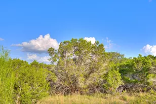 1609 Paradise Pkwy, Canyon Lake, TX 78133 - Photo 18